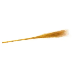 50 MUEHLENBECKIA SÉCHÉES 90CM JAUNE