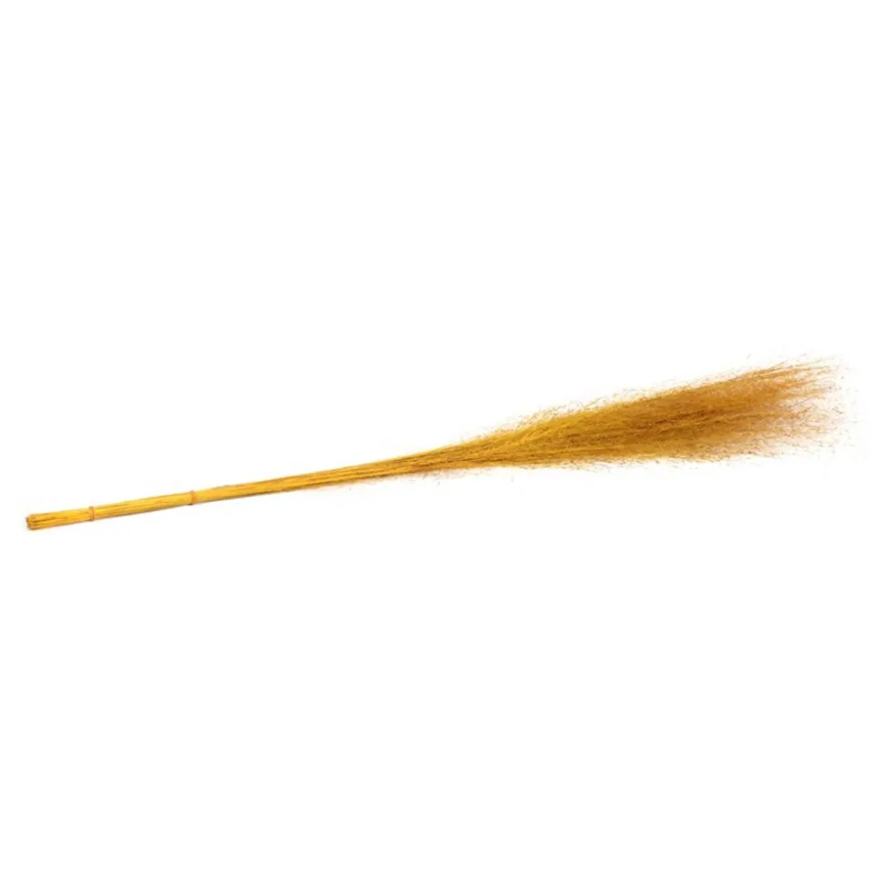 50 MUEHLENBECKIA SÉCHÉES 90CM JAUNE