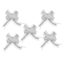 5 NUDS À TIRER ORGANZA 15X23CM BLANC