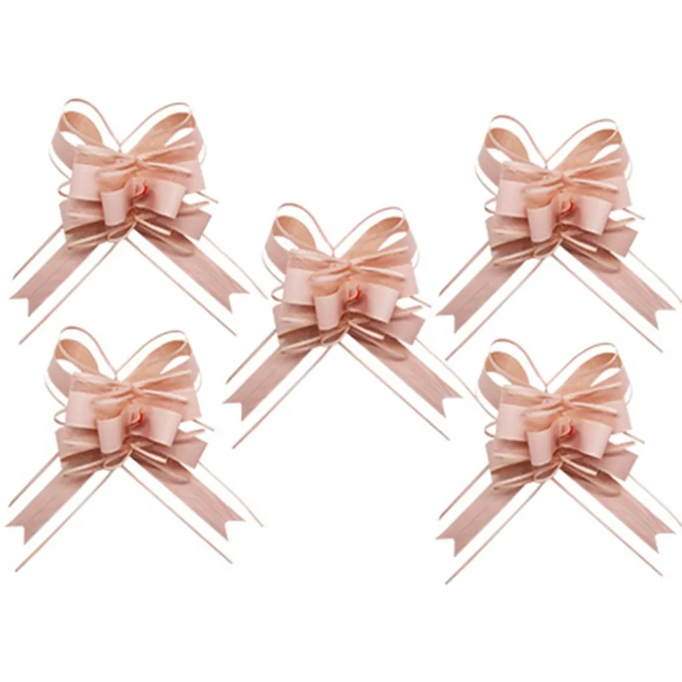 5 NUDS À TIRER ORGANZA 15X23CM ROSE POUDRÉ
