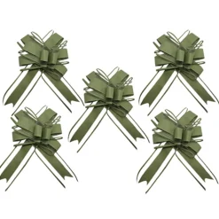5 NUDS À TIRER ORGANZA 15X23CM VERT-DE-GRIS