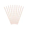 10 PAILLES CARTON RAYÉES CANDY BAR ROSE 19.5CM OR