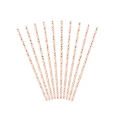 10 PAILLES CARTON RAYÉES CANDY BAR ROSE 19.5CM OR