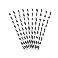 10 PAILLES CARTON RAYÉES CANDY BAR 19.5CM NOIR