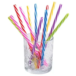 12 PAILLES PP RÉUTILISABLE BROSSE 21CM MULTICOLORE