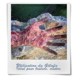 PAIN DE GÉLATINE GELAFIX 60 G