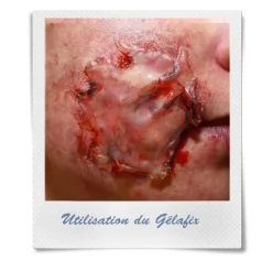 PAIN DE GÉLATINE GELAFIX 60 G