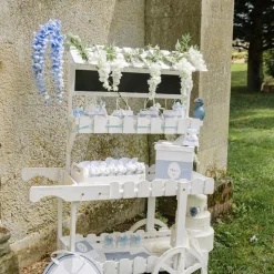 PANNEAU CARTON BIENVENUE BAPTÊME 35X43CM BLEU