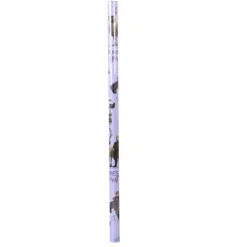 PAPIER CADEAU LA REINE DES NEIGES 70X200CM