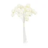 24 PERLES 1-1.3CM BLANC NACRÉ SUR TIGE 10CM