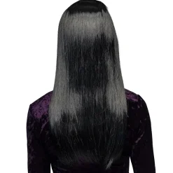 PERRUQUE CHEVEUX LONGS NOIRS MÈCHES BLANCHES FEMME