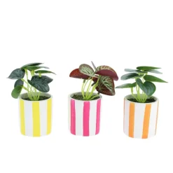 PLANTE ARTIFICIELLE POT CÉRAMIQUE RAYURES 13CM