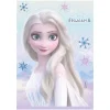 PLAQUE AZYME FROZEN 15X21CM