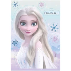PLAQUE AZYME FROZEN 15X21CM
