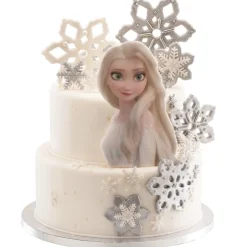 PLAQUE AZYME FROZEN 15X21CM