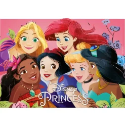 PLAQUE COMESTIBLE GÂTEAU 15X21CM PRINCESSES