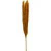 3 PLUMES PAMPA SÉCHÉES 109CM OCRE