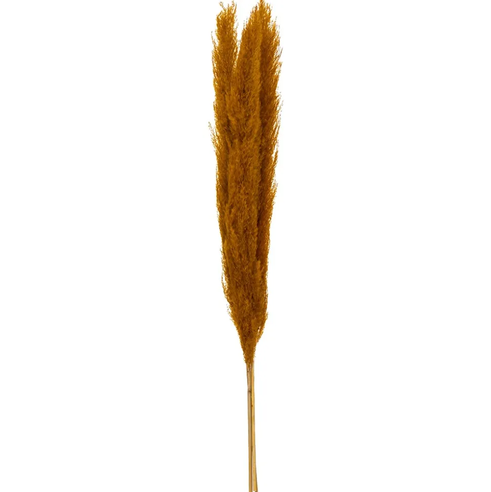 3 PLUMES PAMPA SÉCHÉES 109CM OCRE