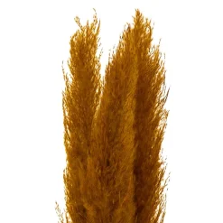 3 PLUMES PAMPA SÉCHÉES 109CM OCRE