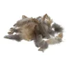 PLUMES POULET 3G NATURE