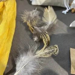 PLUMES POULET 3G NATURE