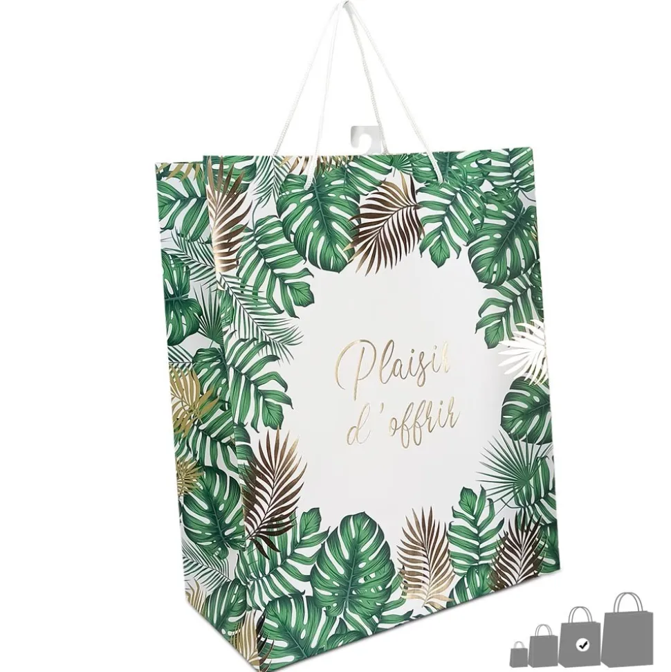 POCHETTE CADEAU CARTON PLAISIR D'OFFRIR 26X13X41CM