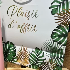 POCHETTE CADEAU CARTON PLAISIR D'OFFRIR 26X13X41CM