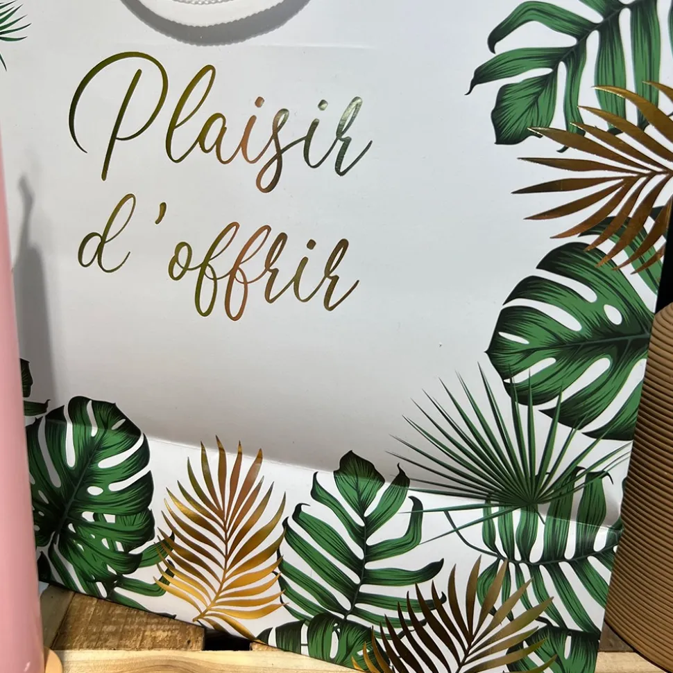POCHETTE CADEAU CARTON PLAISIR D'OFFRIR 26X13X41CM