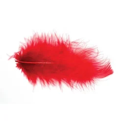 POCHETTE PLUMES 10G 5-10CM ROUGE