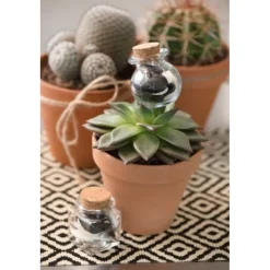 POT VERRE FORME RONDE 5X5X5.2CM