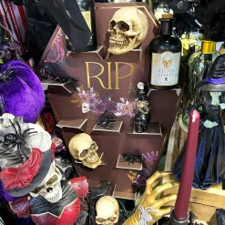 PRÉSENTOIR CERCUEIL RIP HALLOWEEN 53X37CM