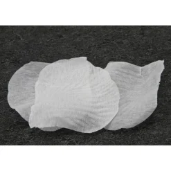 100 PÉTALES DE ROSE TISSU BLANC