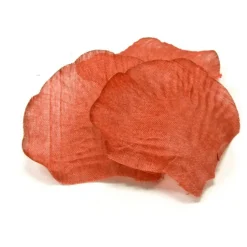 100 PÉTALES DE ROSE TISSU CORAIL