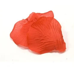 100 PÉTALES DE ROSE TISSU ROUGE