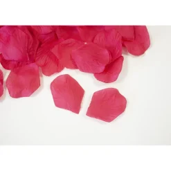 100 PÉTALES EN TISSU FUCHSIA