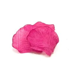 100 PÉTALES EN TISSU FUCHSIA