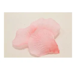 100 PÉTALES EN TISSU ROSE