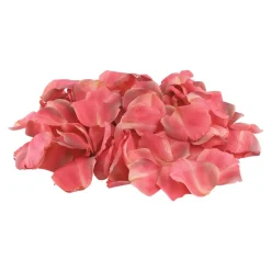 250 PÉTALES ROSE ARTIFICIELLE 4CM FRAMBOISE