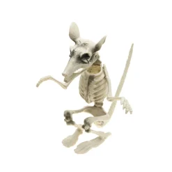 RAT SQUELETTE 20X26X29CM