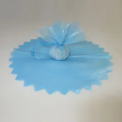 10 RONDS DE TULLE VOILE - CIEL