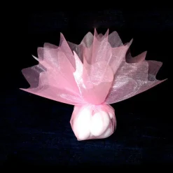 10 RONDS DE TULLE VOILE - ROSE