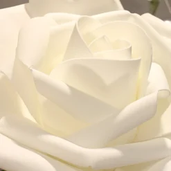 12 ROSES POLYFOAM 7CM BLANC