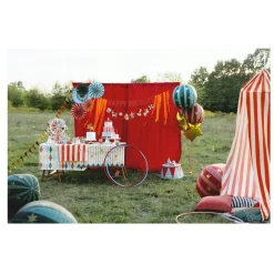 5 ROSETTES CARTON CIRQUE 26-43CM MULTICOLORE