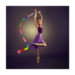 2 RUBANS DANSE GYMNASTIQUE 4.5CMX2M MULTICOLORE