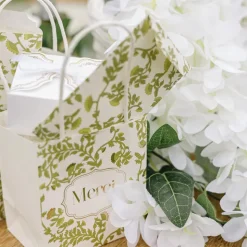 6 SACS CADEAUX MERCI BOTANIC 10X11X7CM PISTACHE