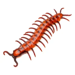 SCOLOPENDRE ARTICULÉ 45CM ROUGE