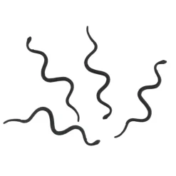 12 SERPENTS PLASTIQUE 14.5CM NOIR