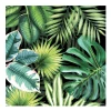 20 SERVIETTES FEUILLAGE TROPICAL NOIR 33X33CM