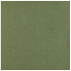 20 SERVIETTES INTISSÉES 65GR 40CM OLIVE