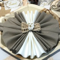 25 SERVIETTES PAPIER AIRLAID 40CM BLANC